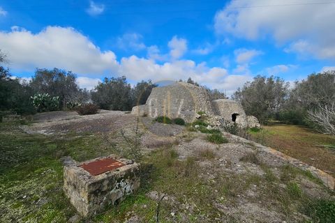 Tomt i Martano, Lecce, Martano - € 55 000 | Ref: TR002 - foto 14